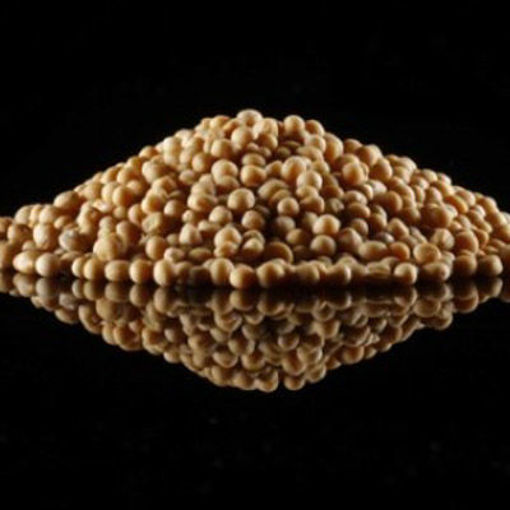 Picture of SPICE MUSTARD SEED