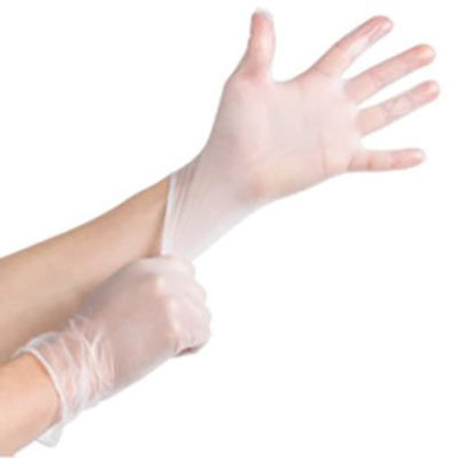 Picture of GLOVES VINYL CLR SMALL P/F