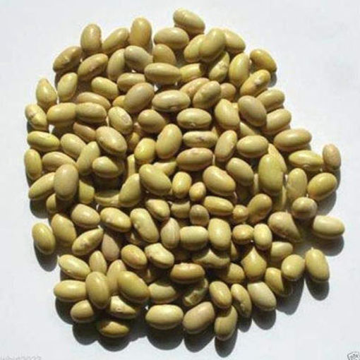 Picture of BEANS PERUANO MAYACOBA US
