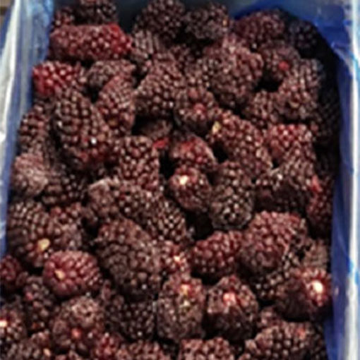Picture of BOYSENBERRIES IQF 26.45 LB