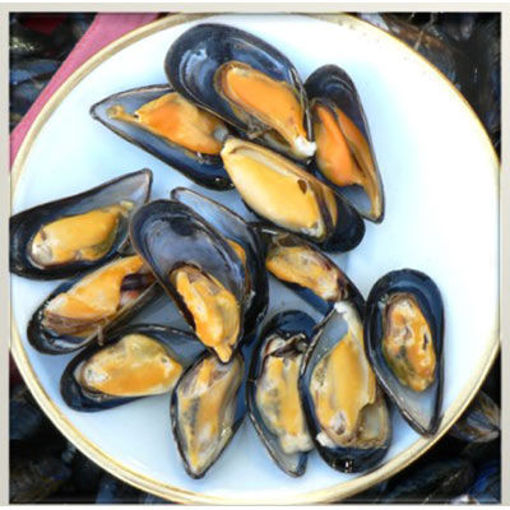 Picture of MUSSELS IN SHELL 23-29CT FRZ