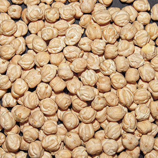 Picture of BEANS GARBANZO DRY 25