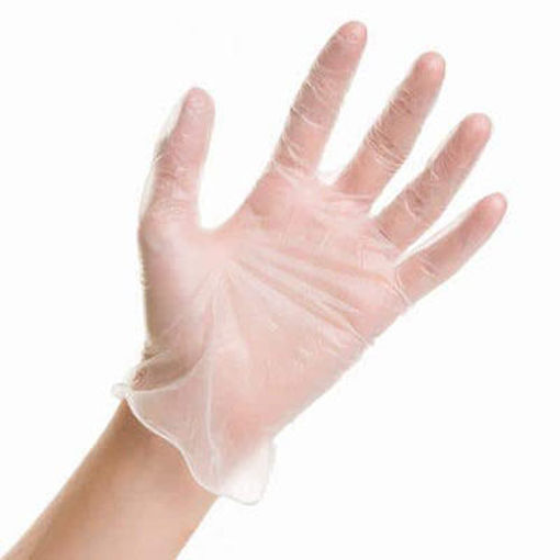 Picture of GLOVES VINYL CLR LARGE P/F