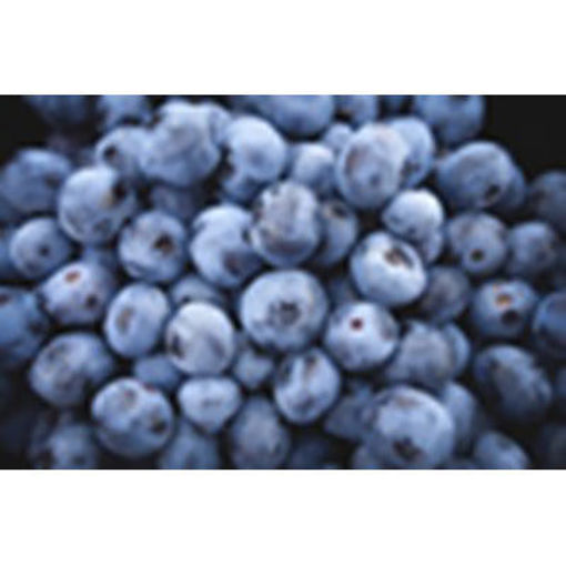 Picture of BLUEBERRIES FRESH