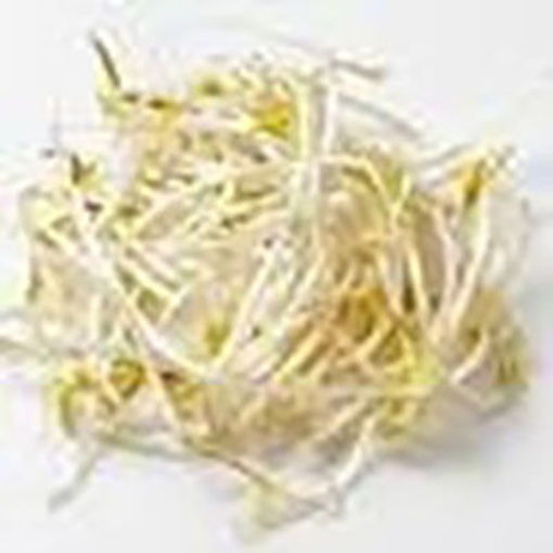 Picture of BEAN SPROUTS 10 LBS(MUNG)