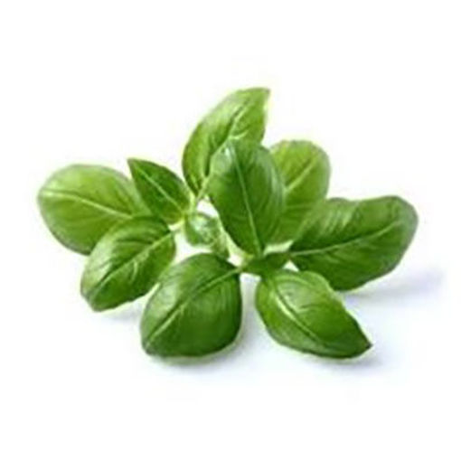 Picture of HERB BASIL FRESH