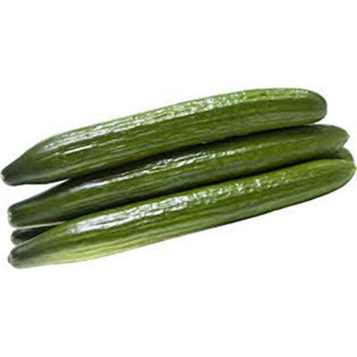 Picture of CUCUMBER HOT HOUSE(ENGLISH)