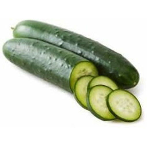 Picture of CUCUMBER BULK/WB SS FRESH
