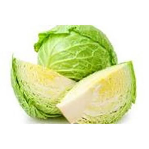 Picture of CABBAGE GREEN FRESH 24 CT