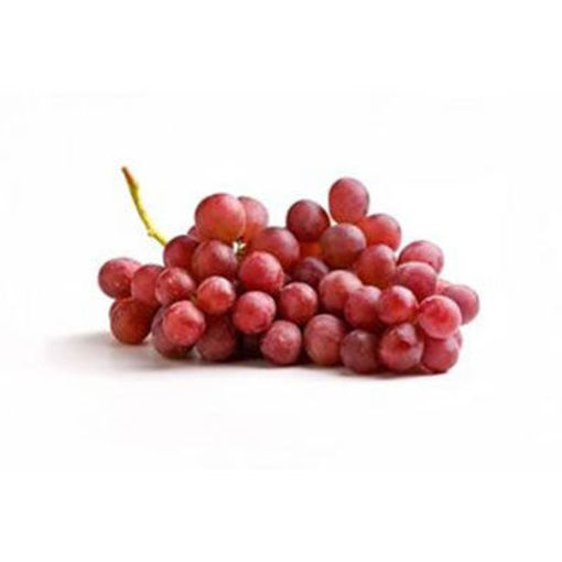 Picture of GRAPE RED SEEDLESS XL