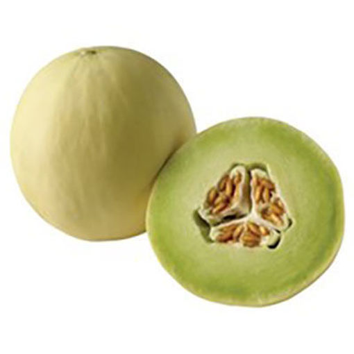 Picture of MELON HONEYDEW LARGE 5 CT