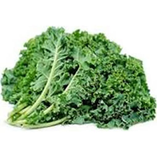 Picture of KALE GREEN