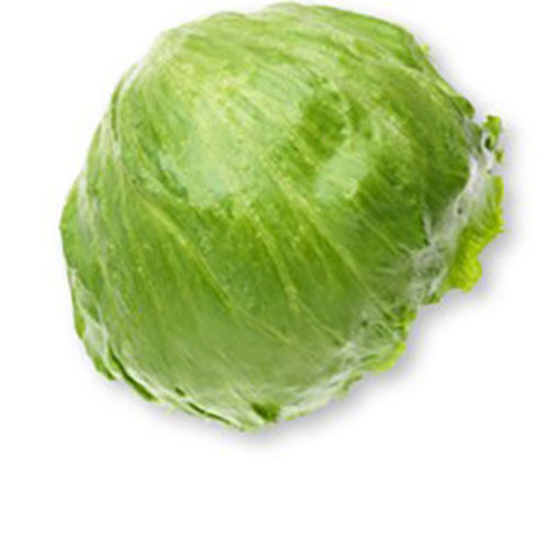 Picture of LETTUCE ICEBERG LINER 24CT