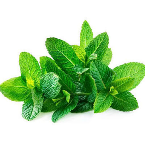 Picture of HERB MINT FRESH