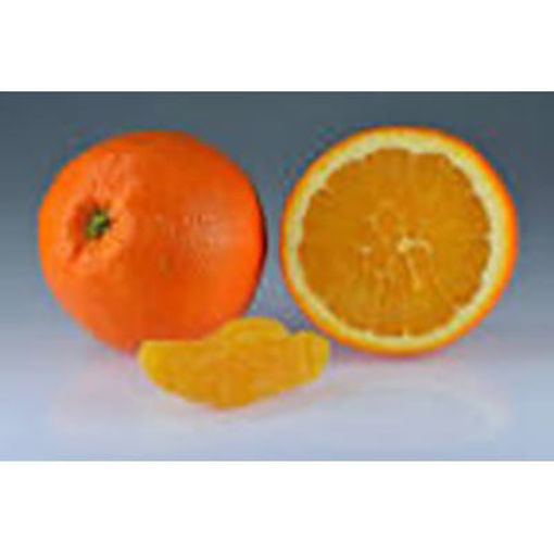Picture of ORANGE CHOICE 5 LBS