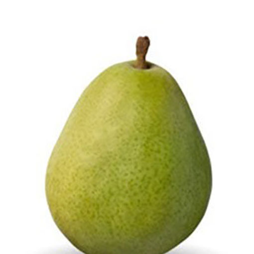 Picture of PEAR D'ANJOU/BARTLETT FRESH