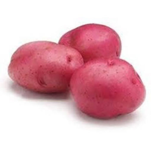 Picture of POTATOES RED B