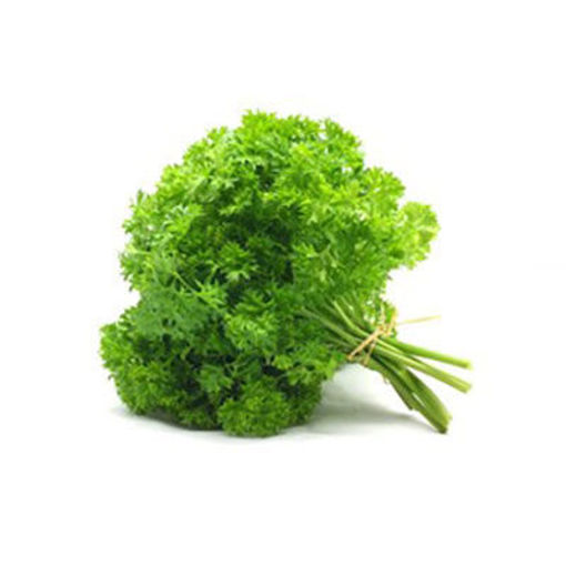 Picture of PARSLEY CURLY FRESH