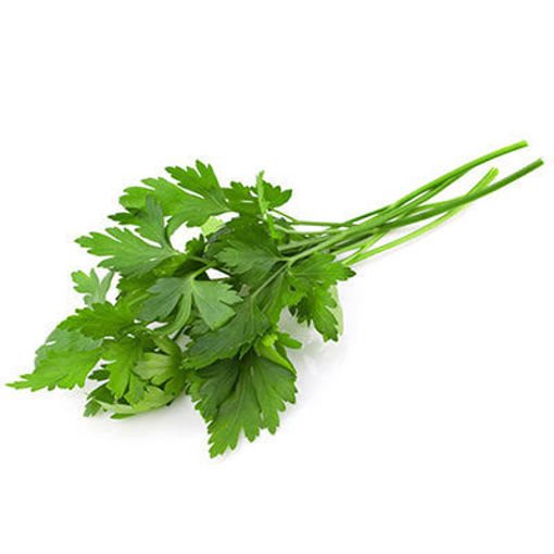 Picture of PARSLEY ITALIAN FRESH FLAT 1CT