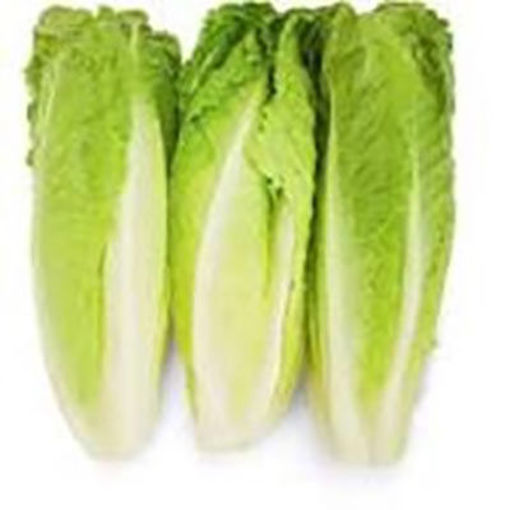 Picture of LETTUCE ROMAINE HEARTS 48 CT
