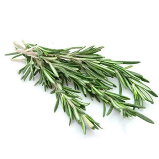 Picture of HERB ROSEMARY FRESH PER LB