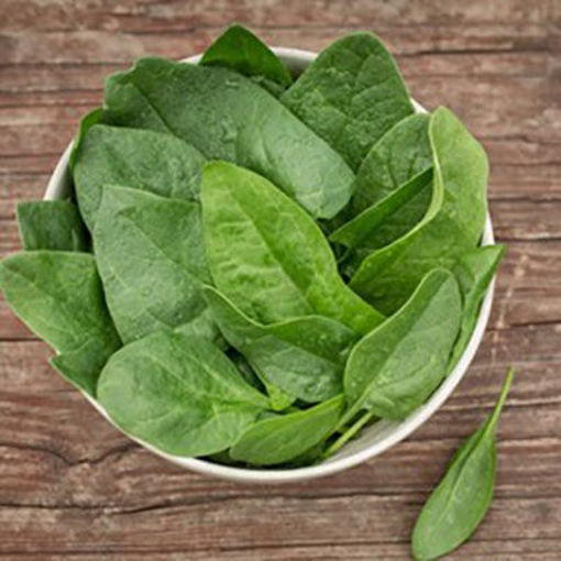 Picture of SPINACH BABY