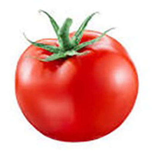 Picture of TOMATO XLGE 4X4