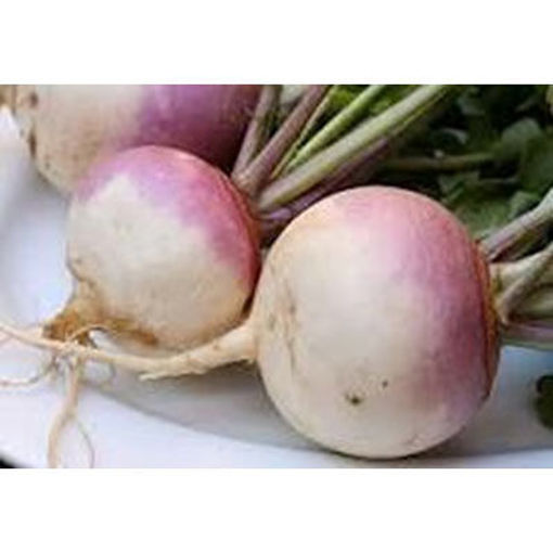 Picture of TURNIP FRESH LARGE LOOSE