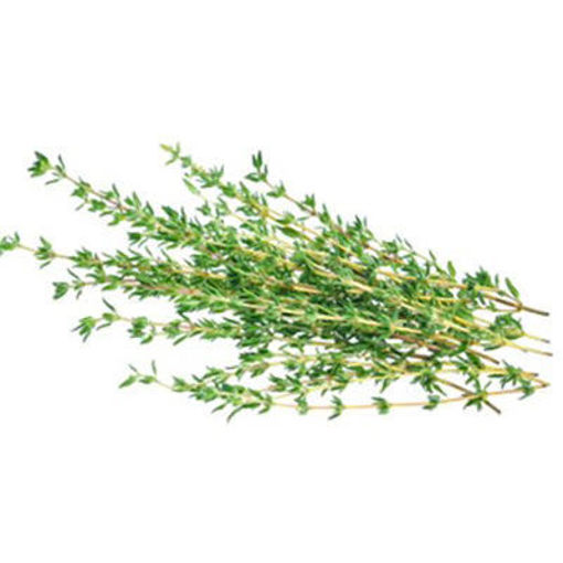 Picture of HERB THYME FRESH PER LB