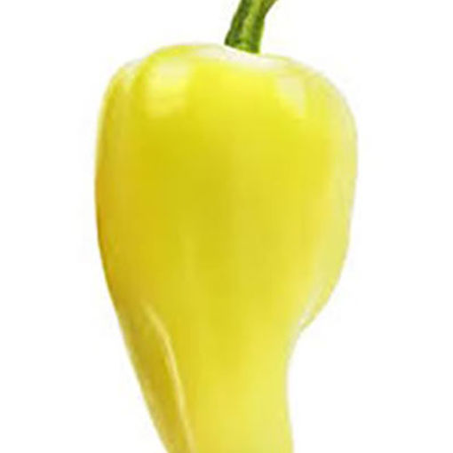 Picture of PEPPER YELLOW CARIBE 5# FRESH