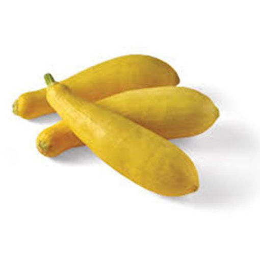 Picture of SQUASH YELLOW FANCY