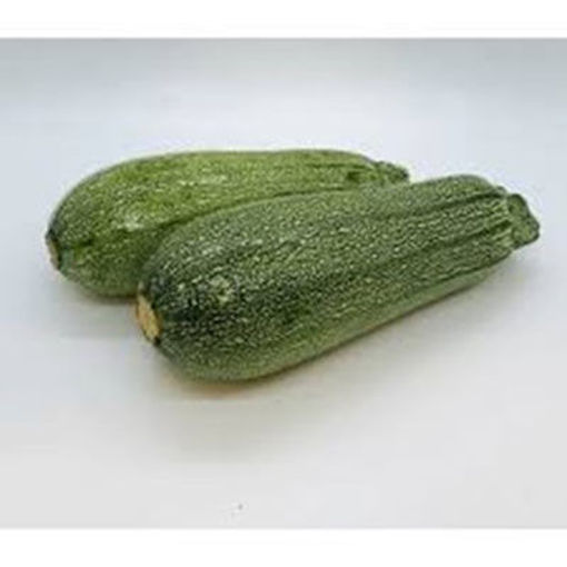 Picture of SQUASH MEXICAN ZUCCHINI FANCY