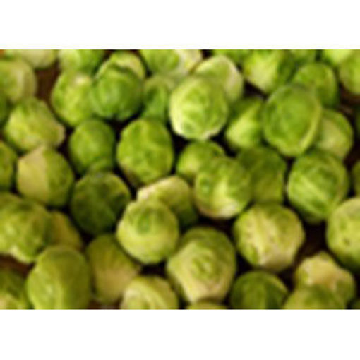 Picture of BRUSSELS SPROUTS BULK 25# MEDIUM