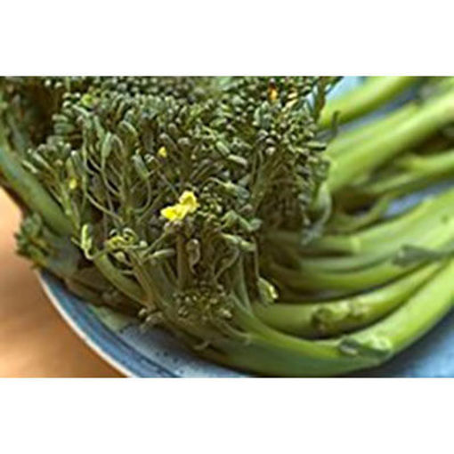 Picture of BROCCOLINI(SWEET BABY BROCCOLI)