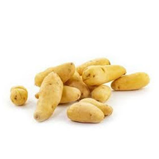 Picture of POT FINGERLING 50# WHITE