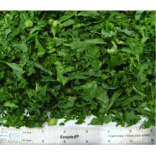 Picture of KALE GREEN SHREDDED 1/8"