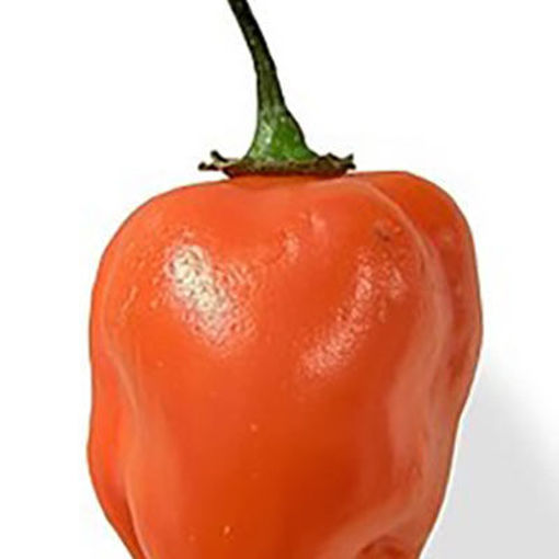 Picture of PEPPER HABANERO FRESH