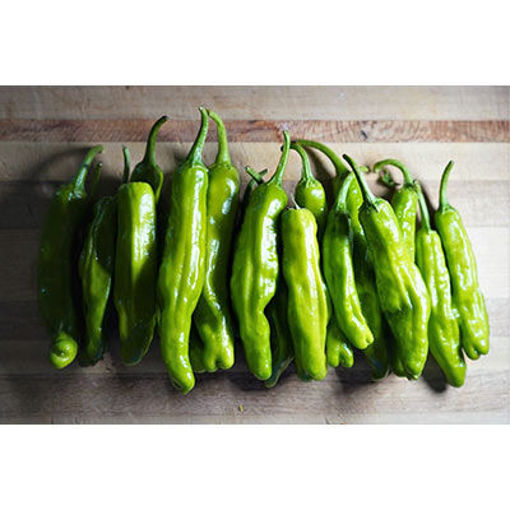 Picture of CHILES SHISHITO PEPPERS