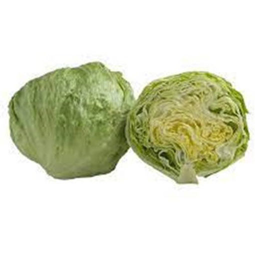 Picture of LETTUCE ICEBERG BABY